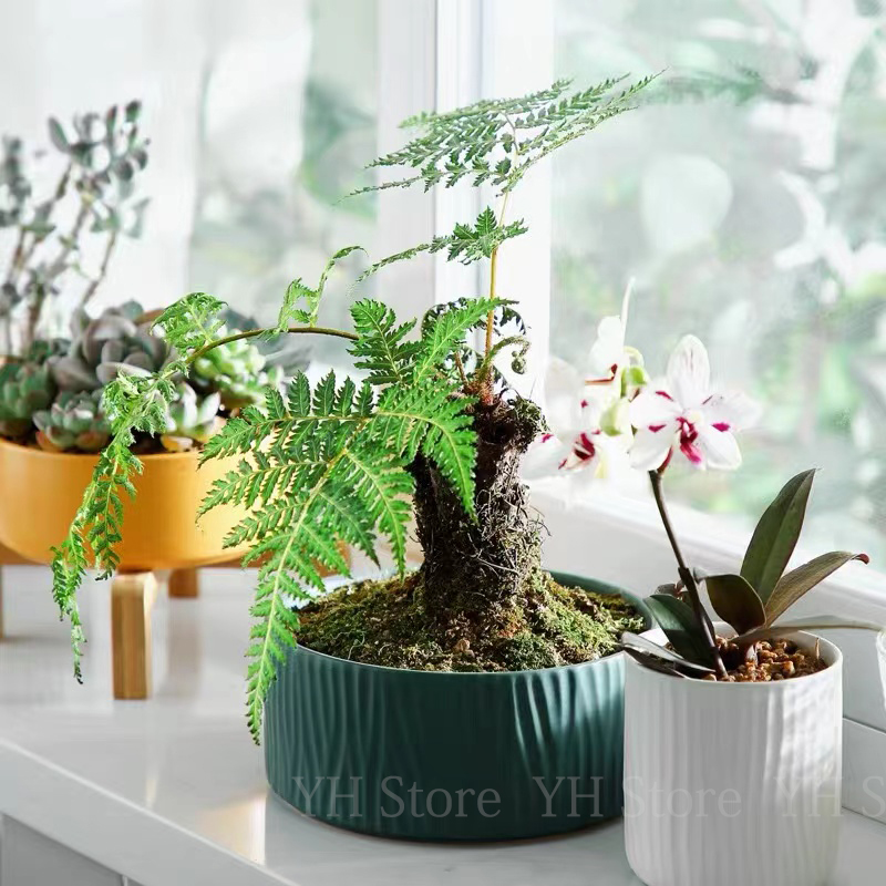 Versatile Silicone Mold for DI - Terrazzo Pot Cement ulasan dan harga