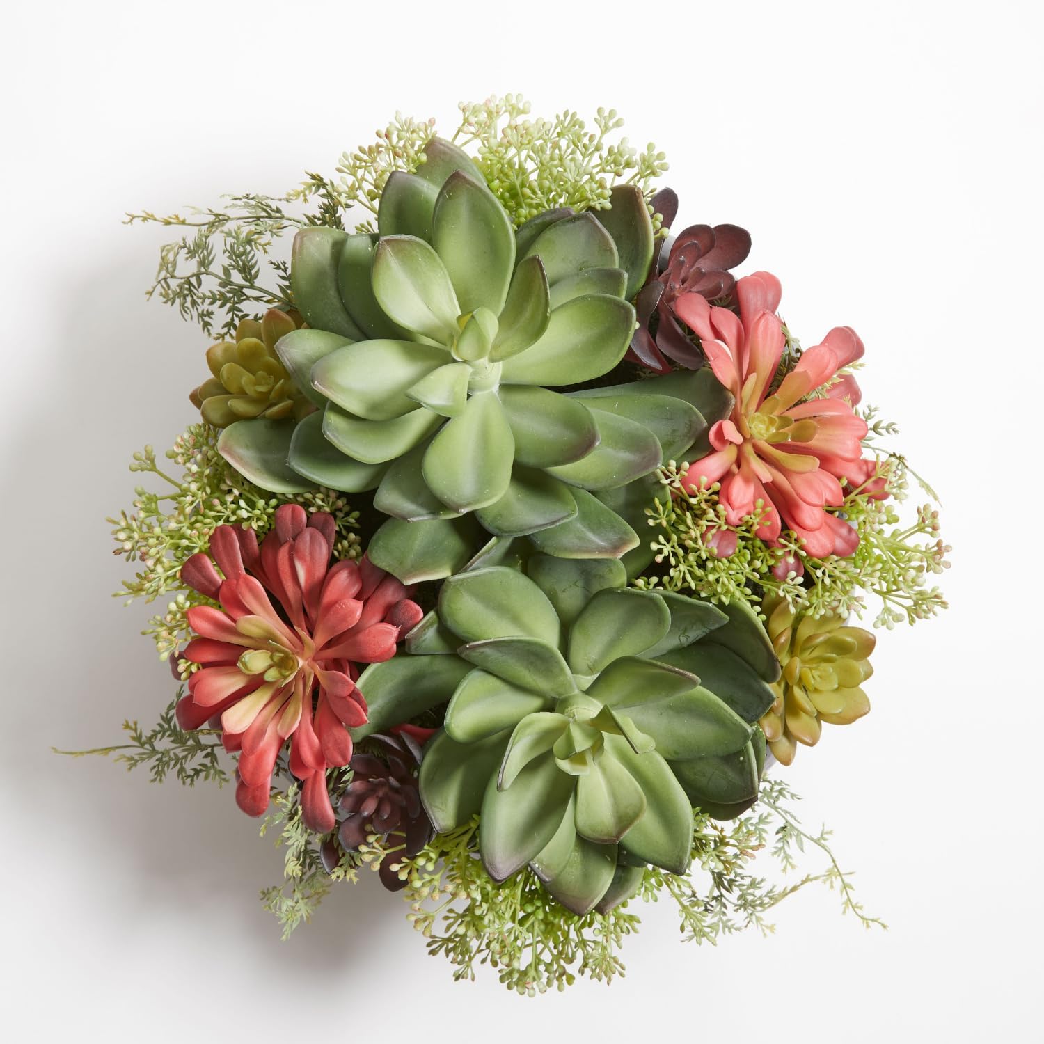 Faux Succulent Arrangement, Pr - Interior Design Your Home ulasan dan harga