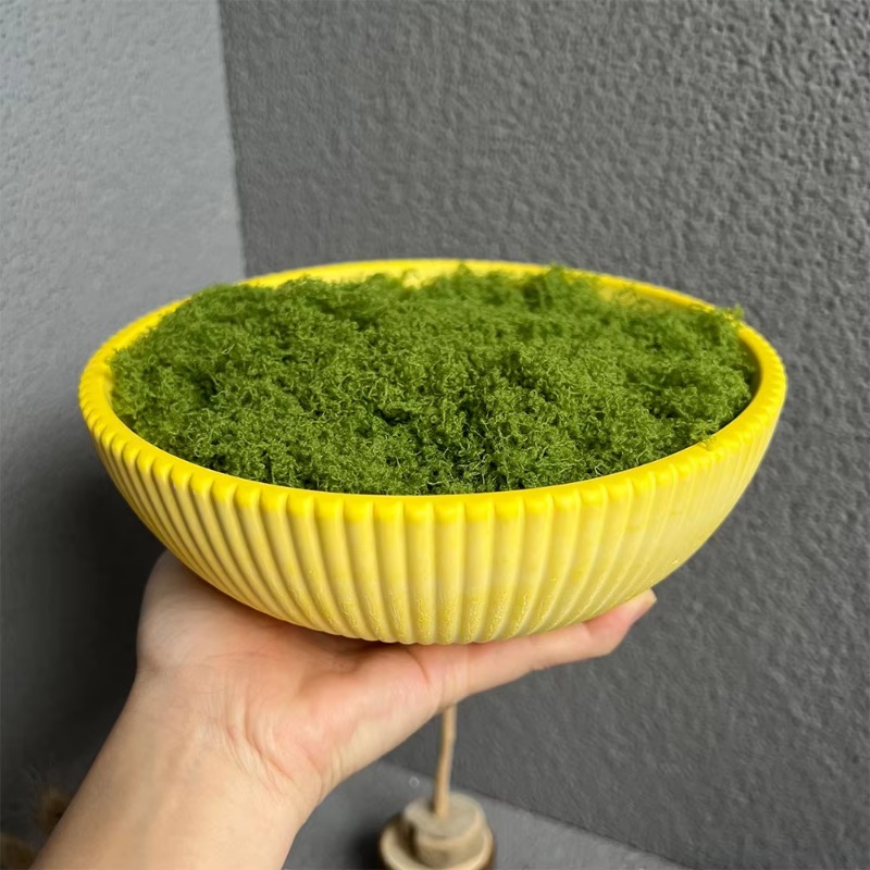 A Top Quality Large Striped Bo - Terrazzo Pot Cement ulasan dan harga