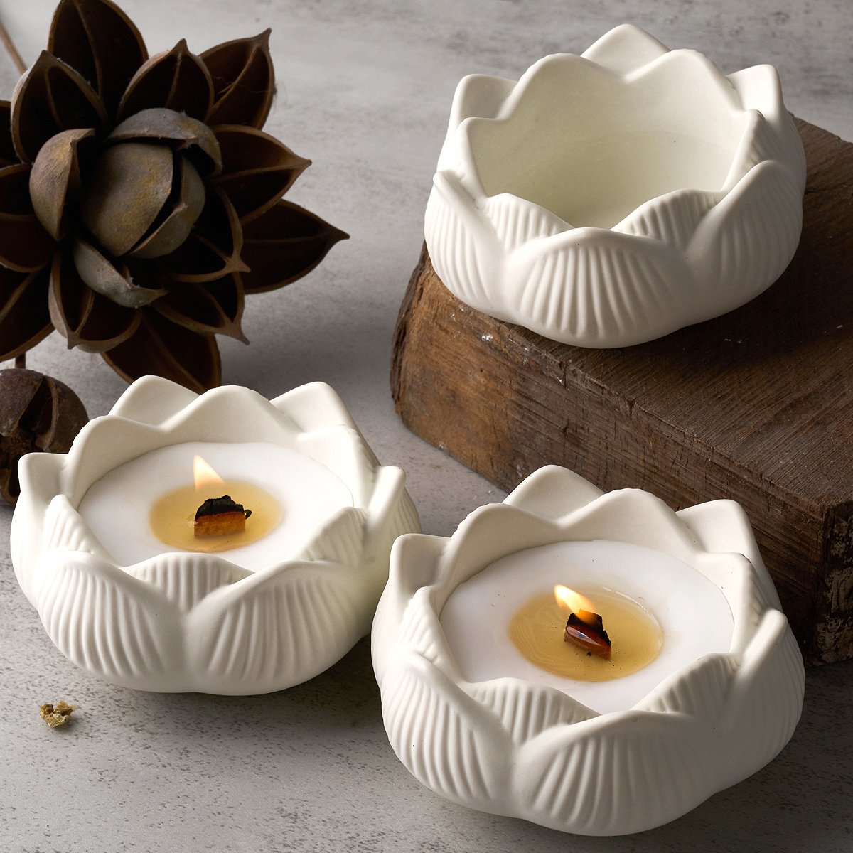 Lotus Shape Candle Holder Plas - Terrazzo Pot Cement ulasan dan harga